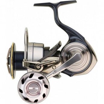 Катушка безынерционная DAIWA 19 CERTATE LT G 3000D-ARK